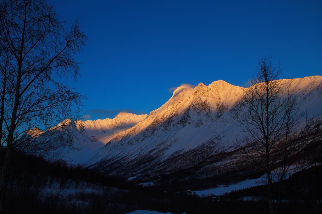 Lyngseidet Gjestegard As Buitenkant foto